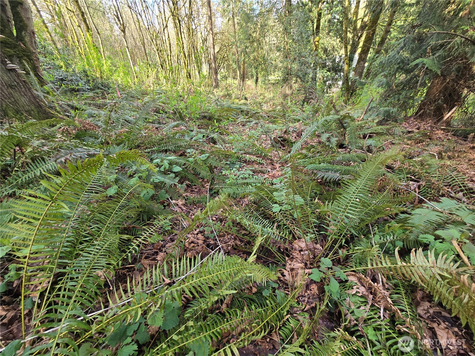 54 xx S 344th Street , Auburn, WA 98001