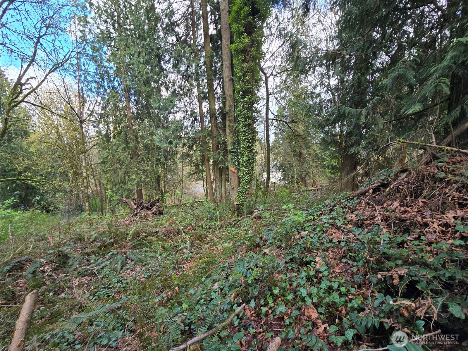 54 xx S 344th Street , Auburn, WA 98001