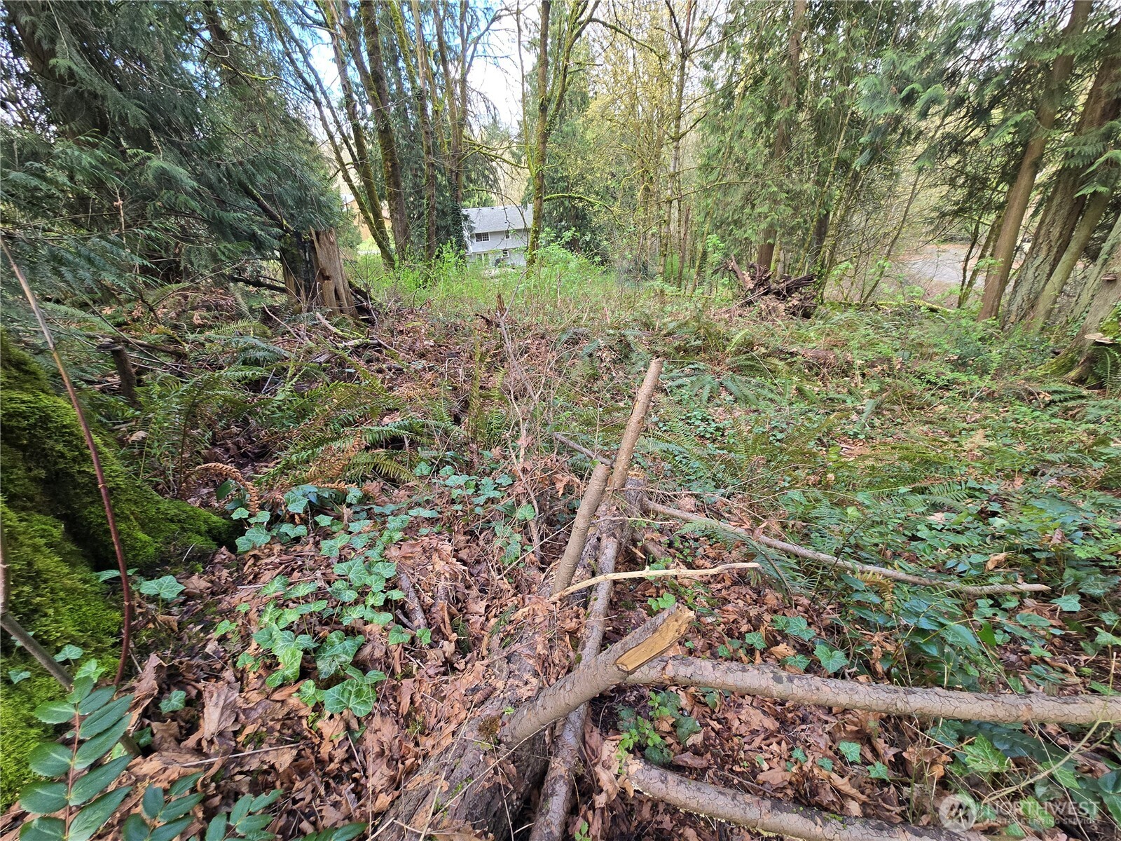 54 xx S 344th Street , Auburn, WA 98001