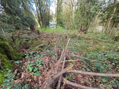 54 xx S 344th Street , Auburn, WA 98001 - Photo 16