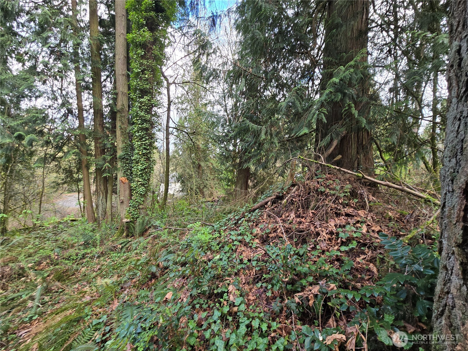 54 xx S 344th Street , Auburn, WA 98001