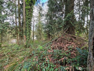 54 xx S 344th Street , Auburn, WA 98001 - Photo 17