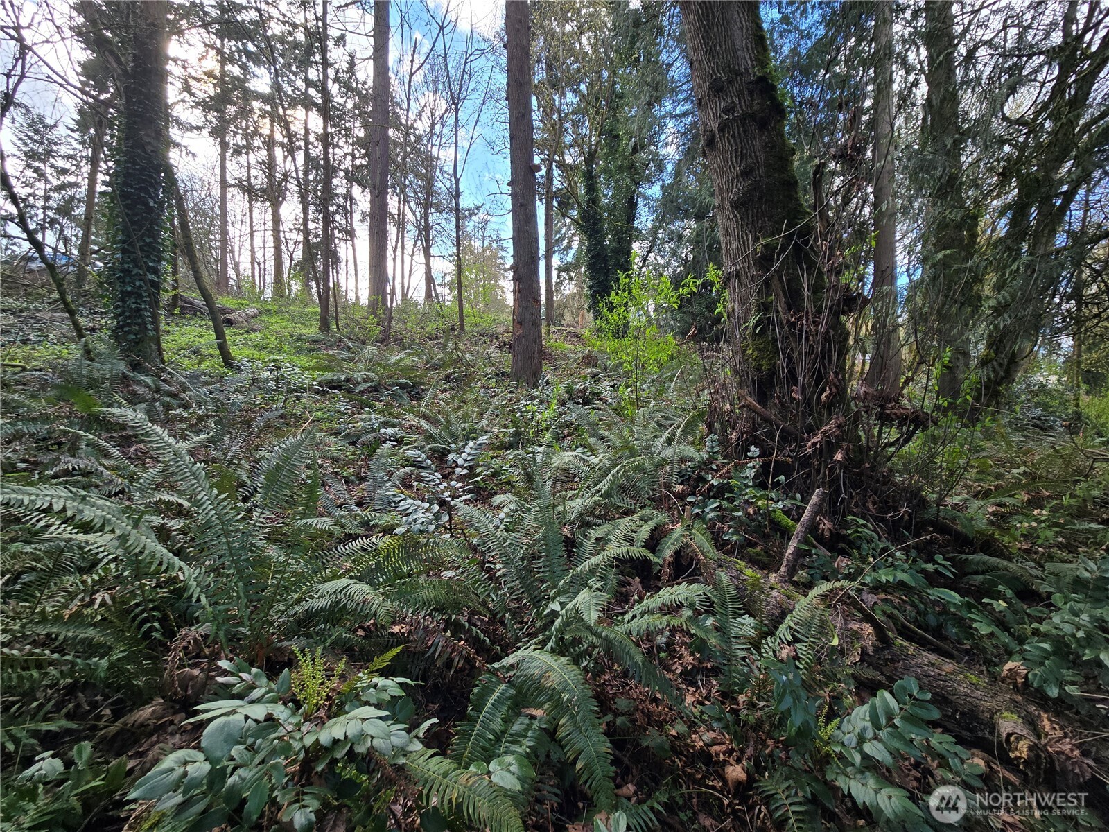 54 xx S 344th Street , Auburn, WA 98001