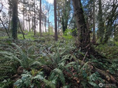 54 xx S 344th Street , Auburn, WA 98001 - Photo 18