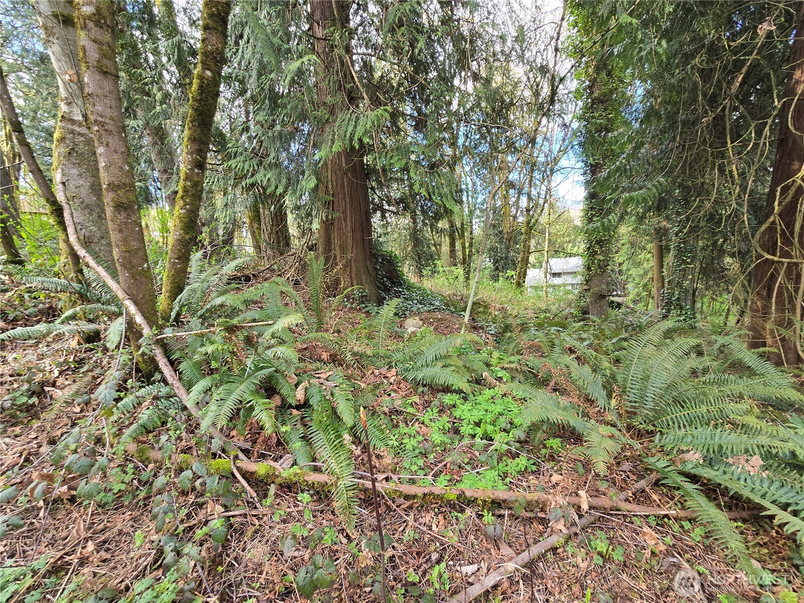 54 xx S 344th Street , Auburn, WA 98001