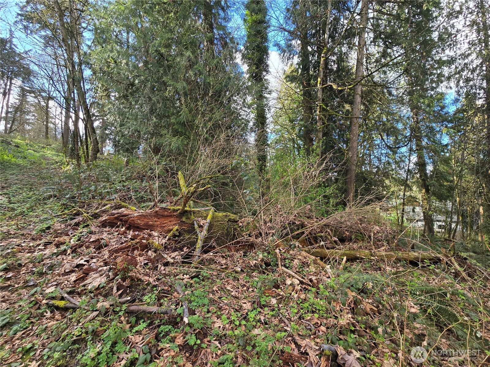 54 xx S 344th Street , Auburn, WA 98001