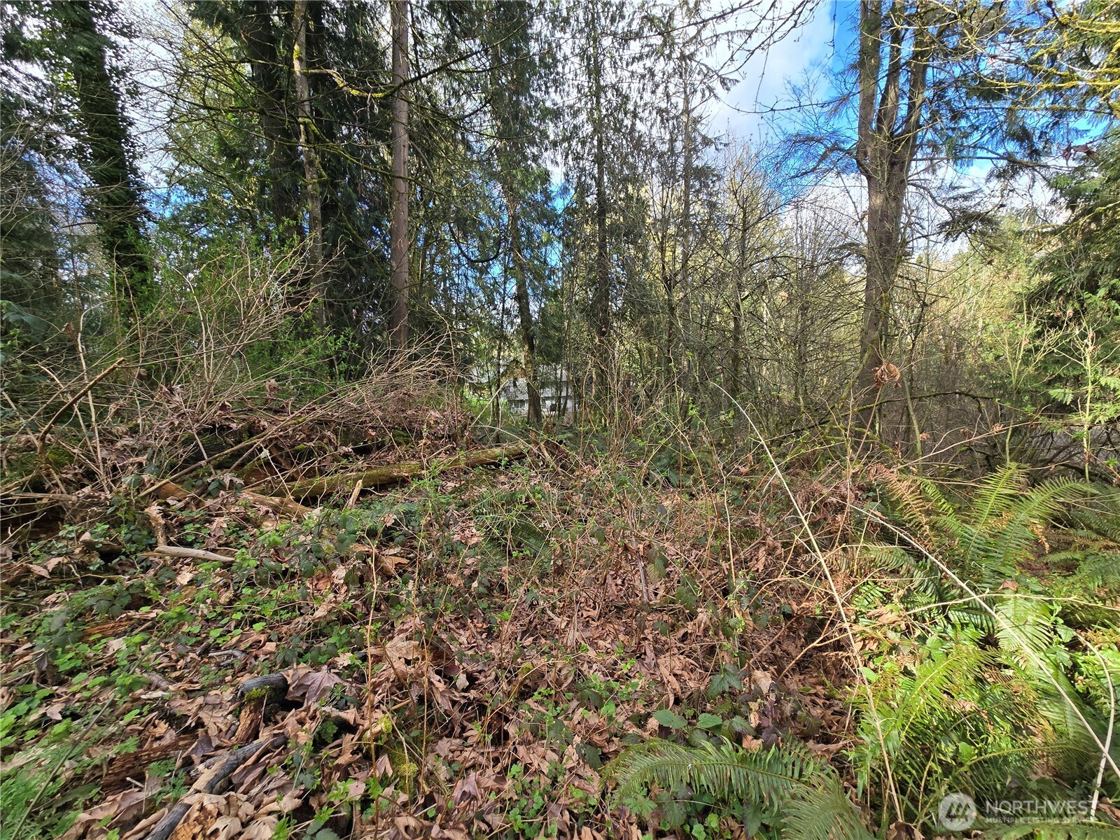 54 xx S 344th Street , Auburn, WA 98001