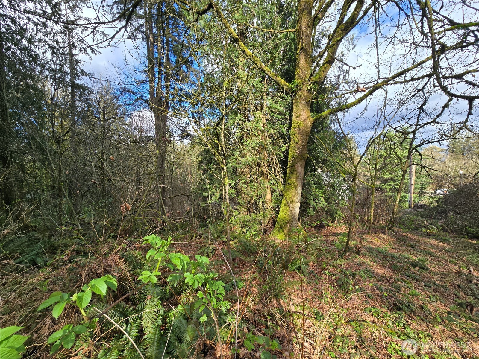 54 xx S 344th Street , Auburn, WA 98001