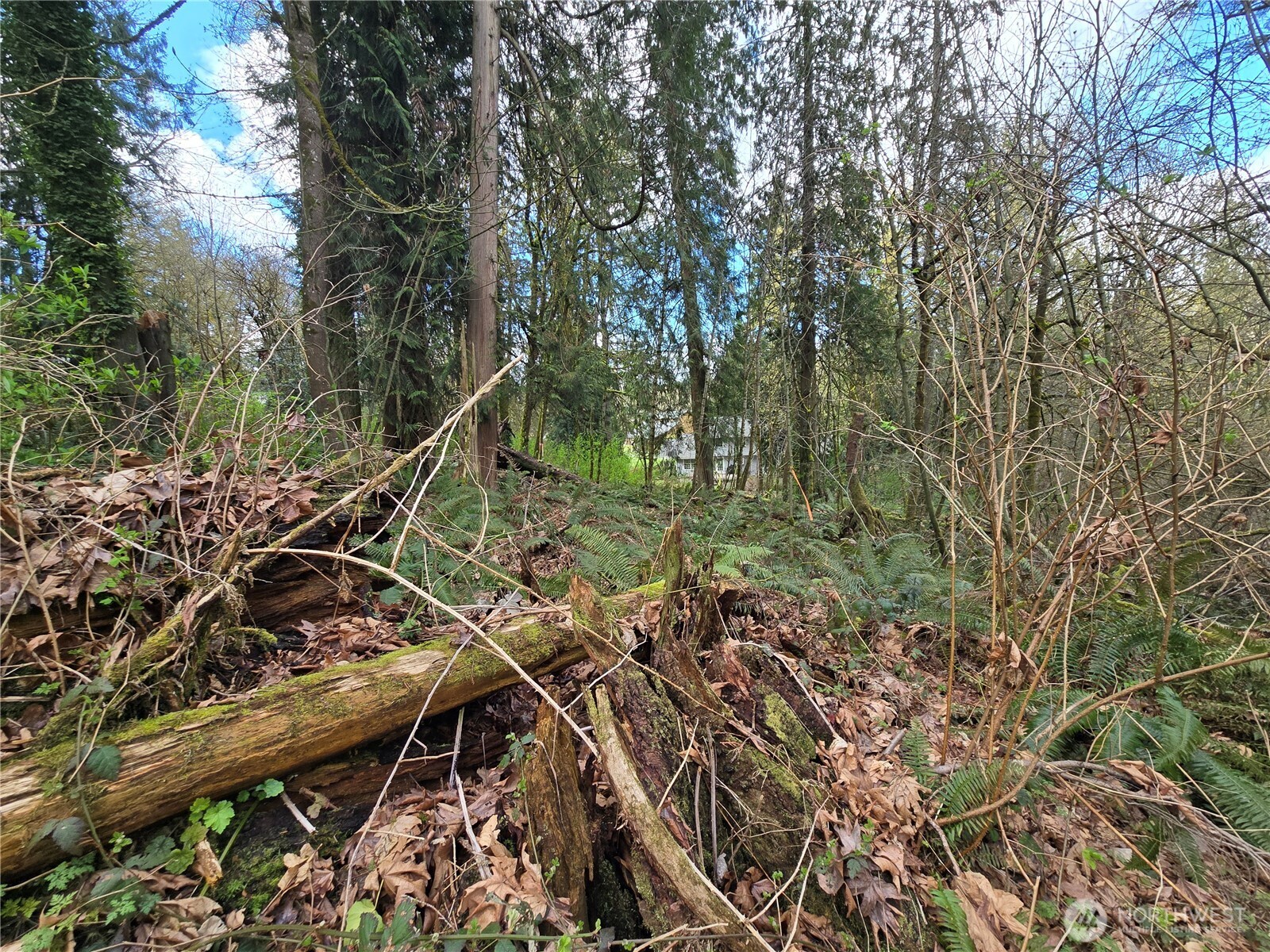 54 xx S 344th Street , Auburn, WA 98001