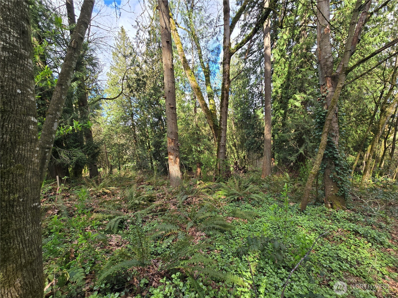 54 xx S 344th Street , Auburn, WA 98001