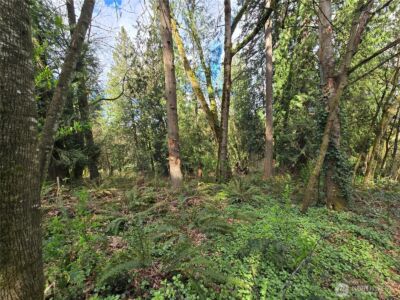 54 xx S 344th Street , Auburn, WA 98001 - Photo 24