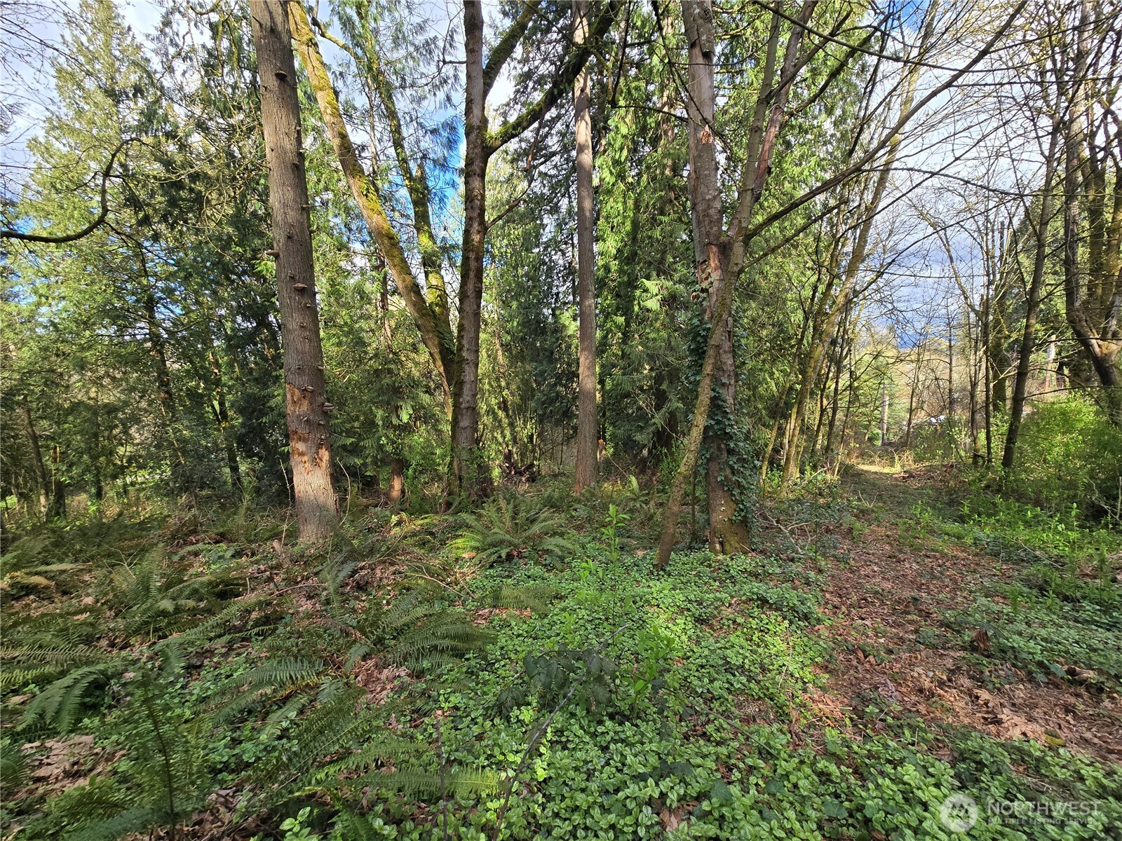 54 xx S 344th Street , Auburn, WA 98001