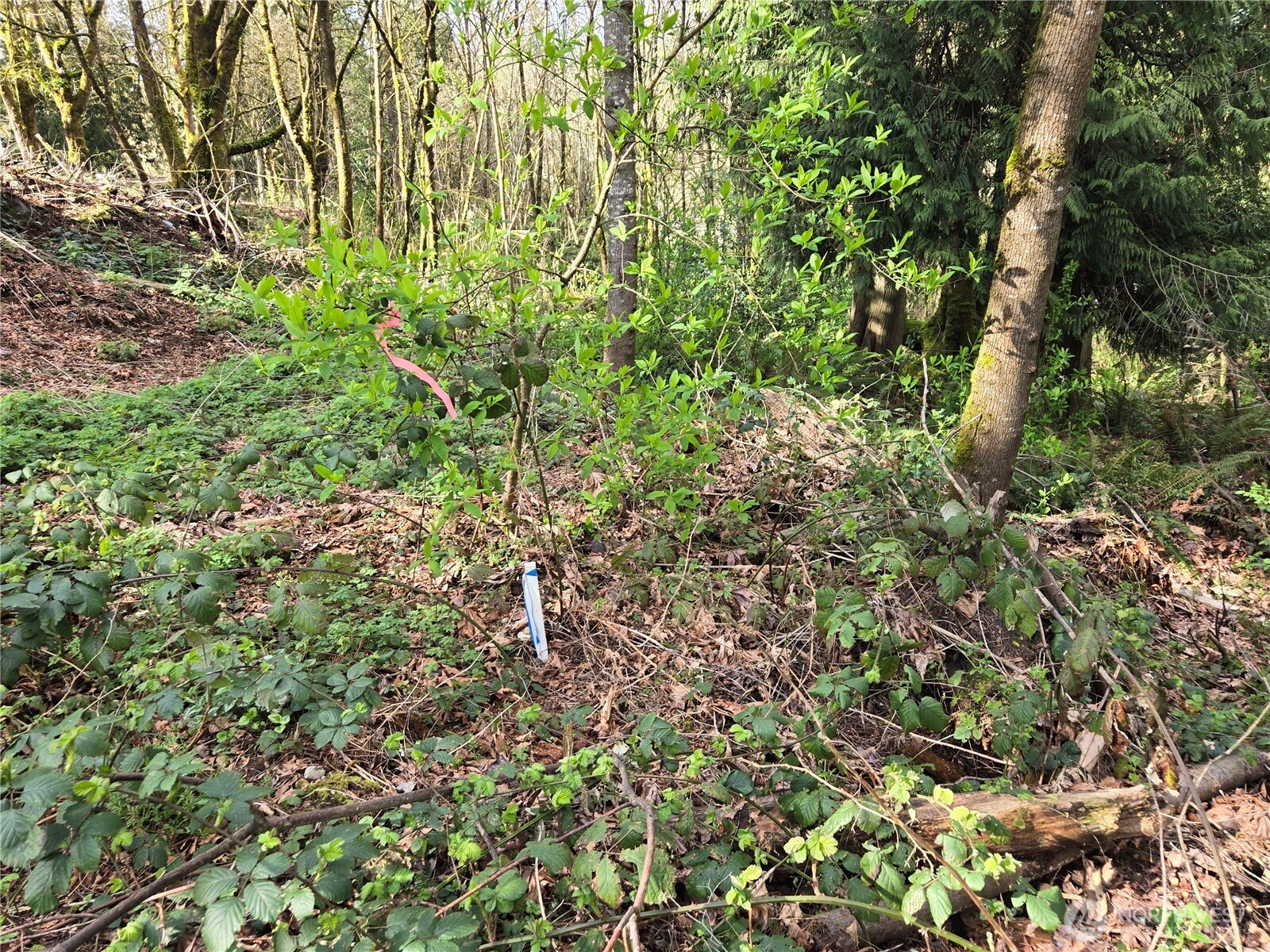 54 xx S 344th Street , Auburn, WA 98001