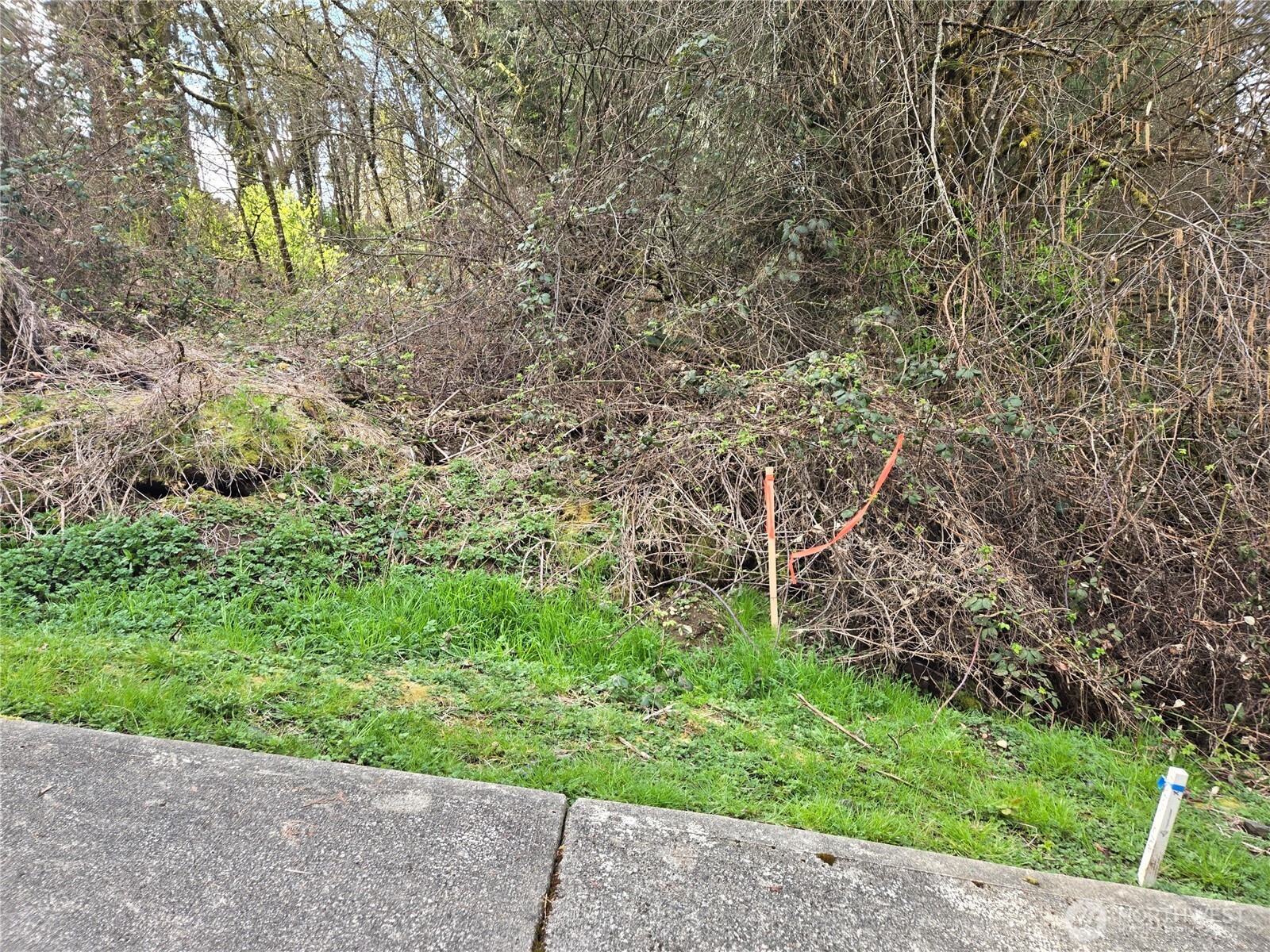 54 xx S 344th Street , Auburn, WA 98001