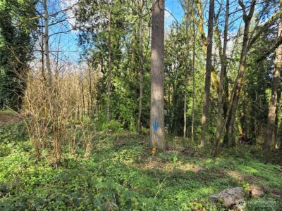 54 xx S 344th Street , Auburn, WA 98001 - Photo 4