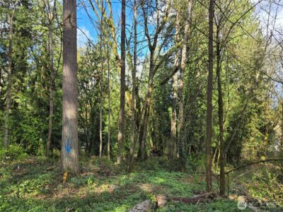 54 xx S 344th Street , Auburn, WA 98001 - Photo 5
