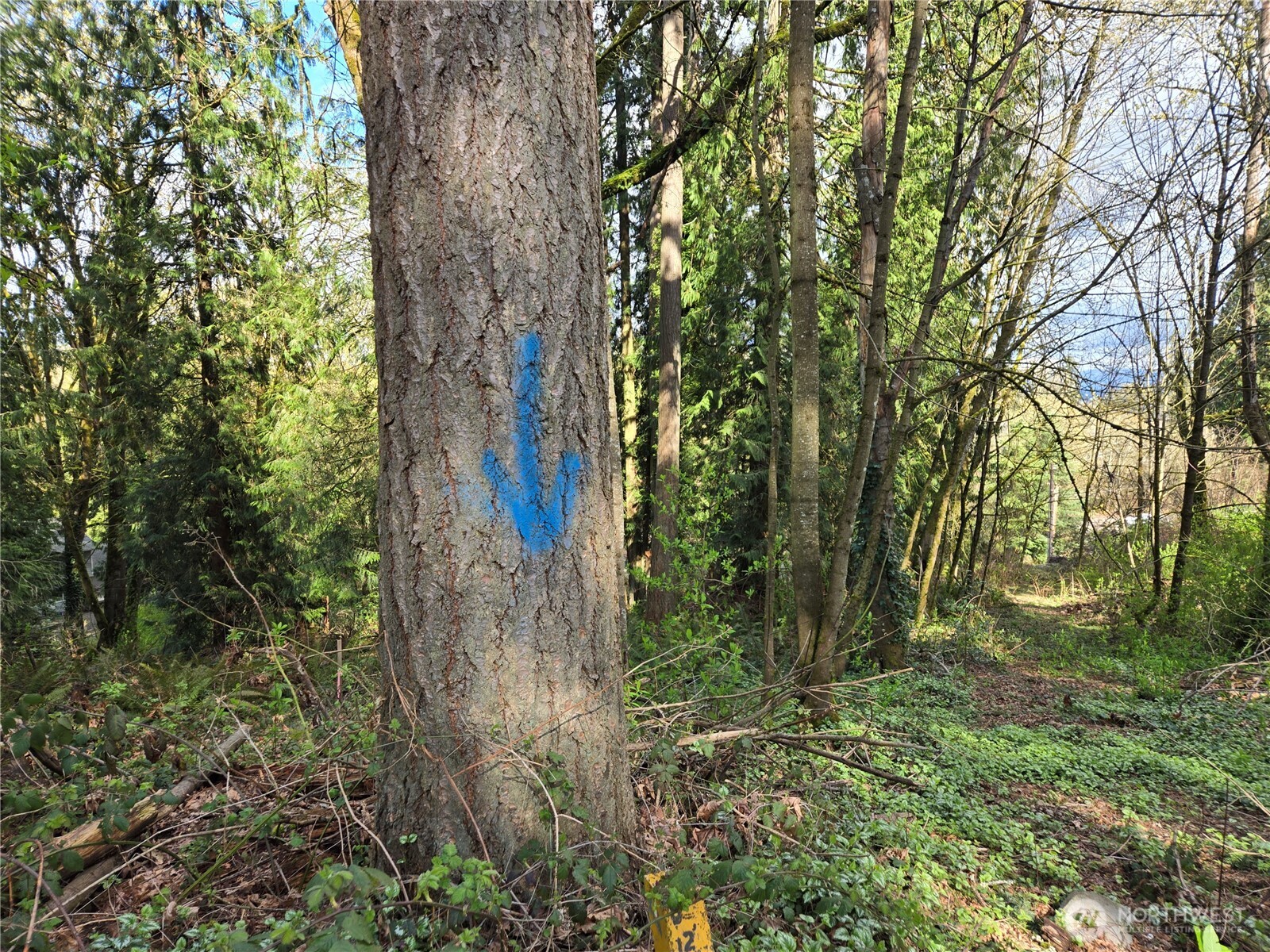 54 xx S 344th Street , Auburn, WA 98001