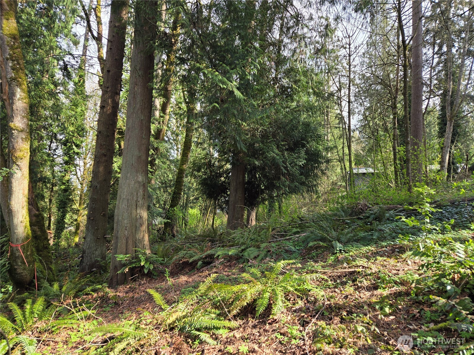 54 xx S 344th Street , Auburn, WA 98001