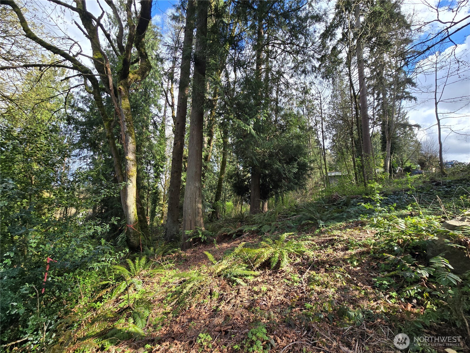 54 xx S 344th Street , Auburn, WA 98001