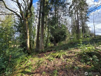 54 xx S 344th Street , Auburn, WA 98001 - Photo 8