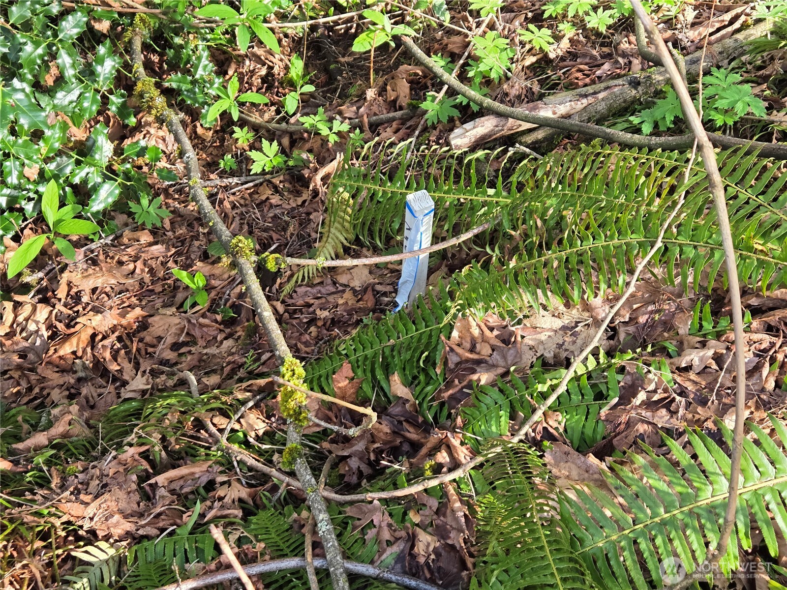 54 xx S 344th Street , Auburn, WA 98001