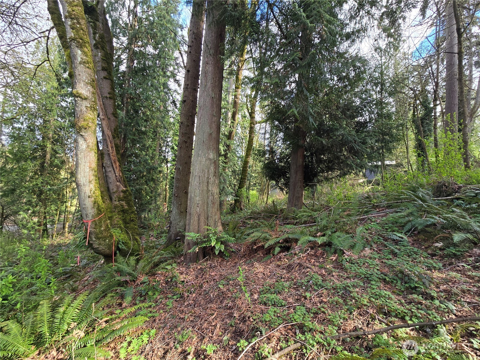 54 xx S 344th Street , Auburn, WA 98001