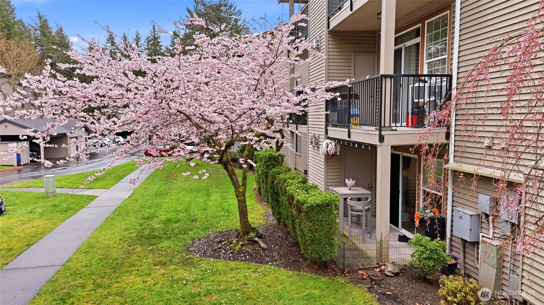 25025 SE Klahanie Boulevard #K101, Sammamish, WA 98029