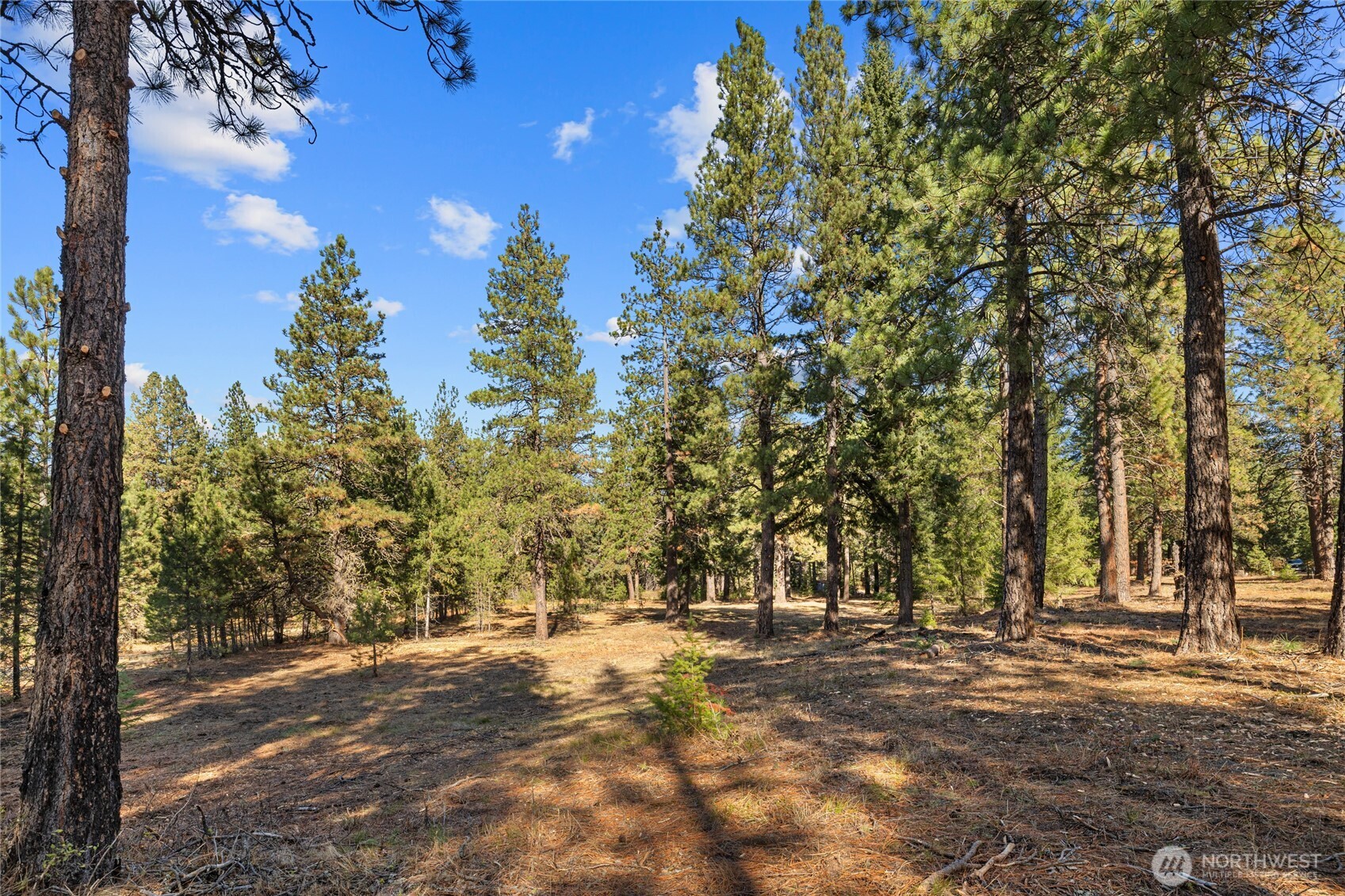 101 Book Lane , Cle Elum, WA 98922