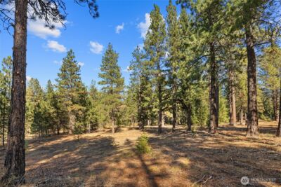 101 Book Lane , Cle Elum, WA 98922