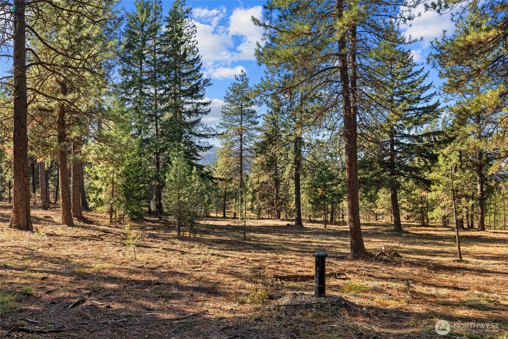 101 Book Lane , Cle Elum, WA 98922