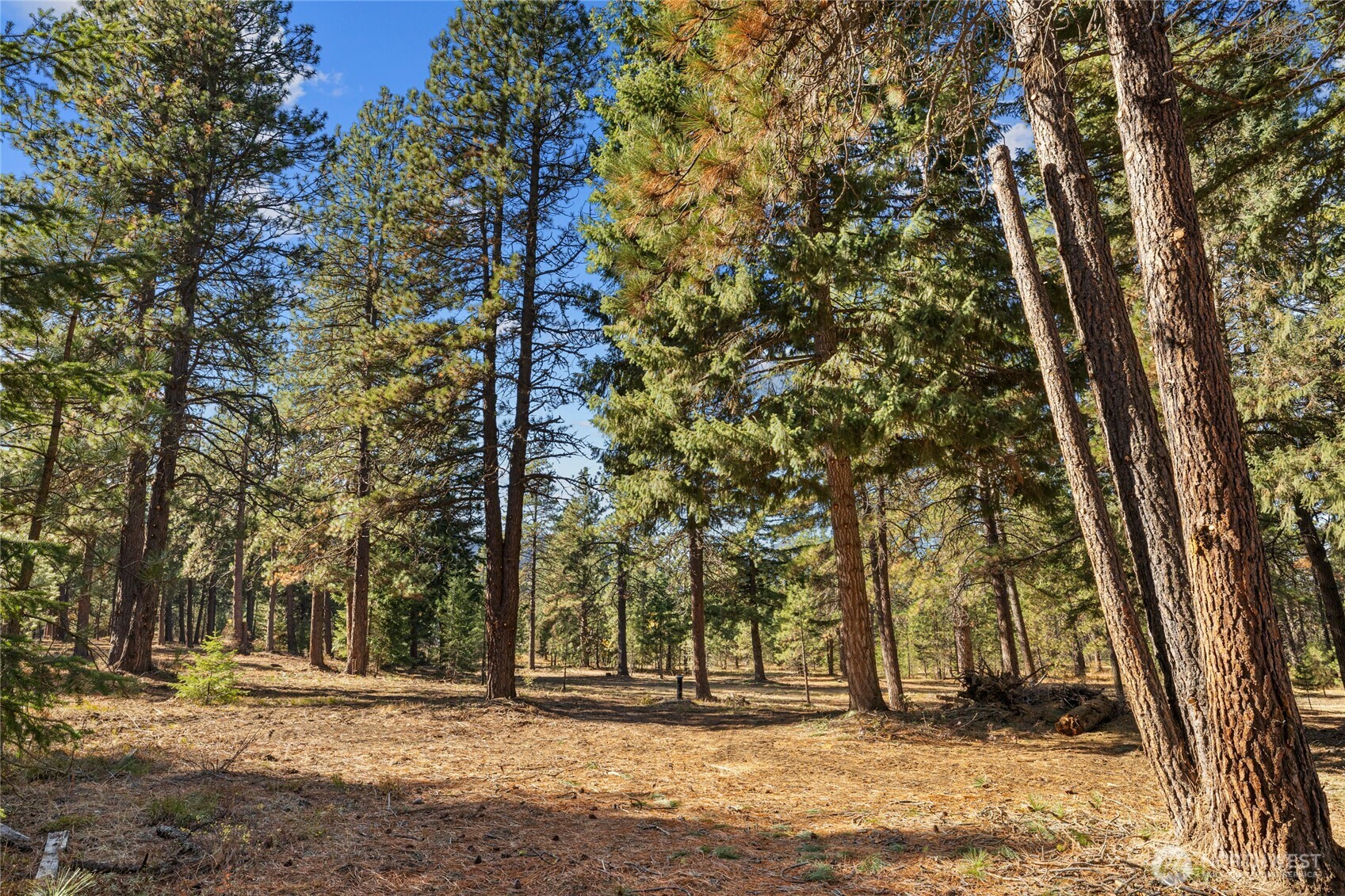 101 Book Lane , Cle Elum, WA 98922