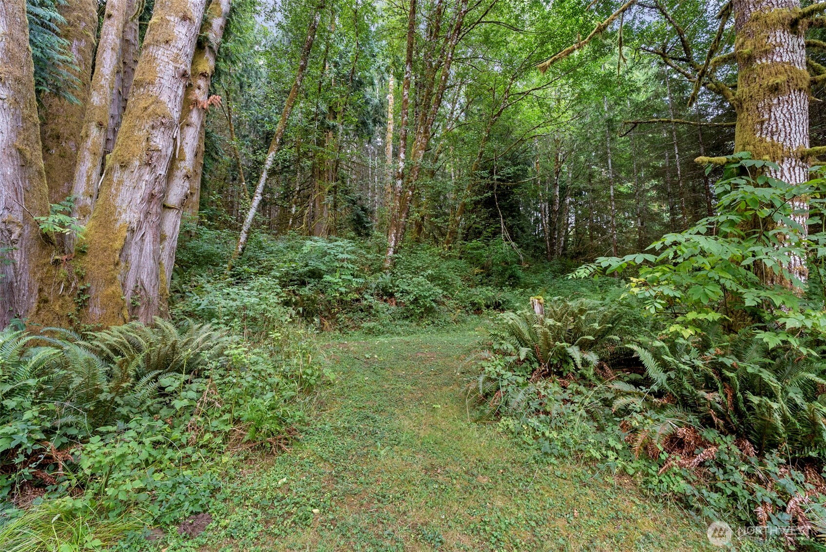 17 McKinney Road , Raymond, WA 98577