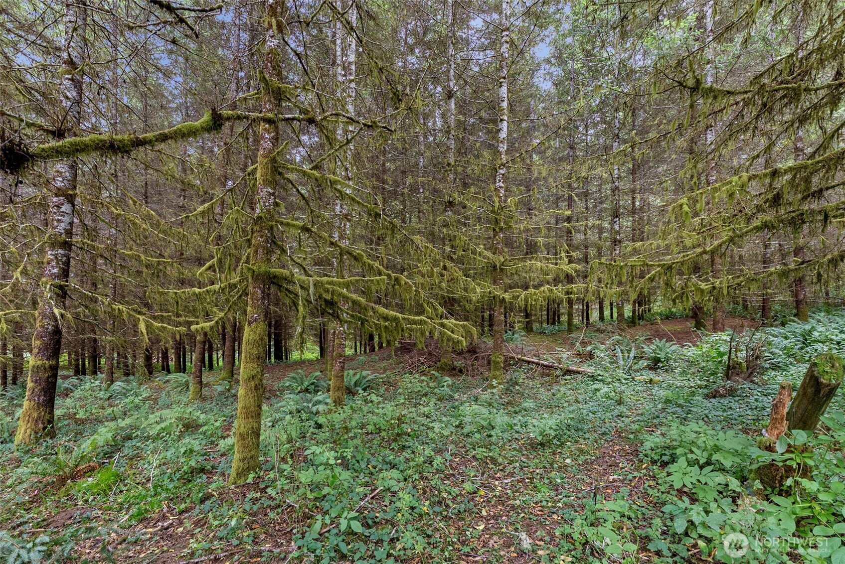 17 McKinney Road , Raymond, WA 98577