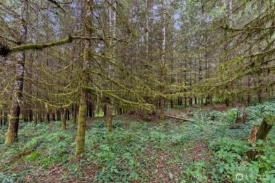 17 McKinney Road , Raymond, WA 98577 - Photo 25