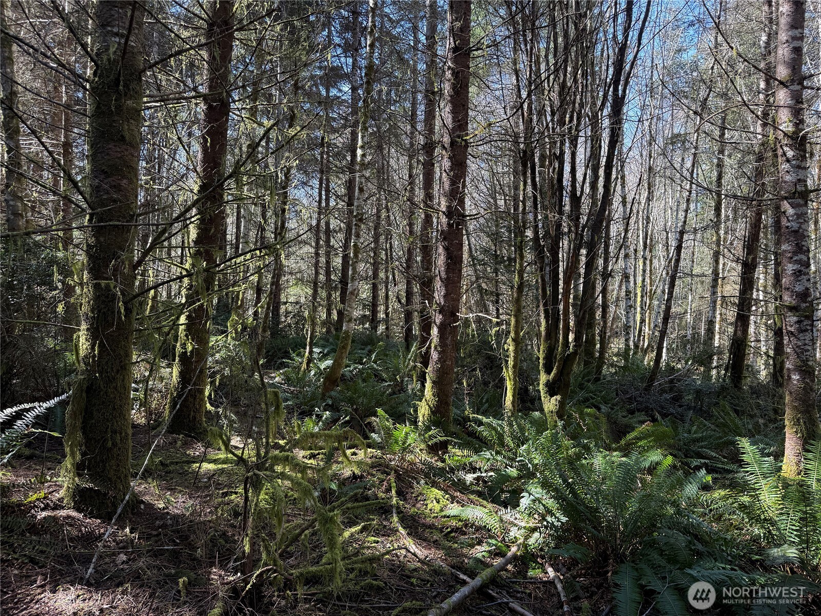 1 XX E Case View Place , Shelton, WA 98584