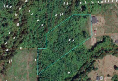 1 XX E Case View Place , Shelton, WA 98584 - Photo 17