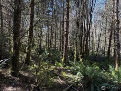 1 XX E Case View Place , Shelton, WA 98584 - Photo 2