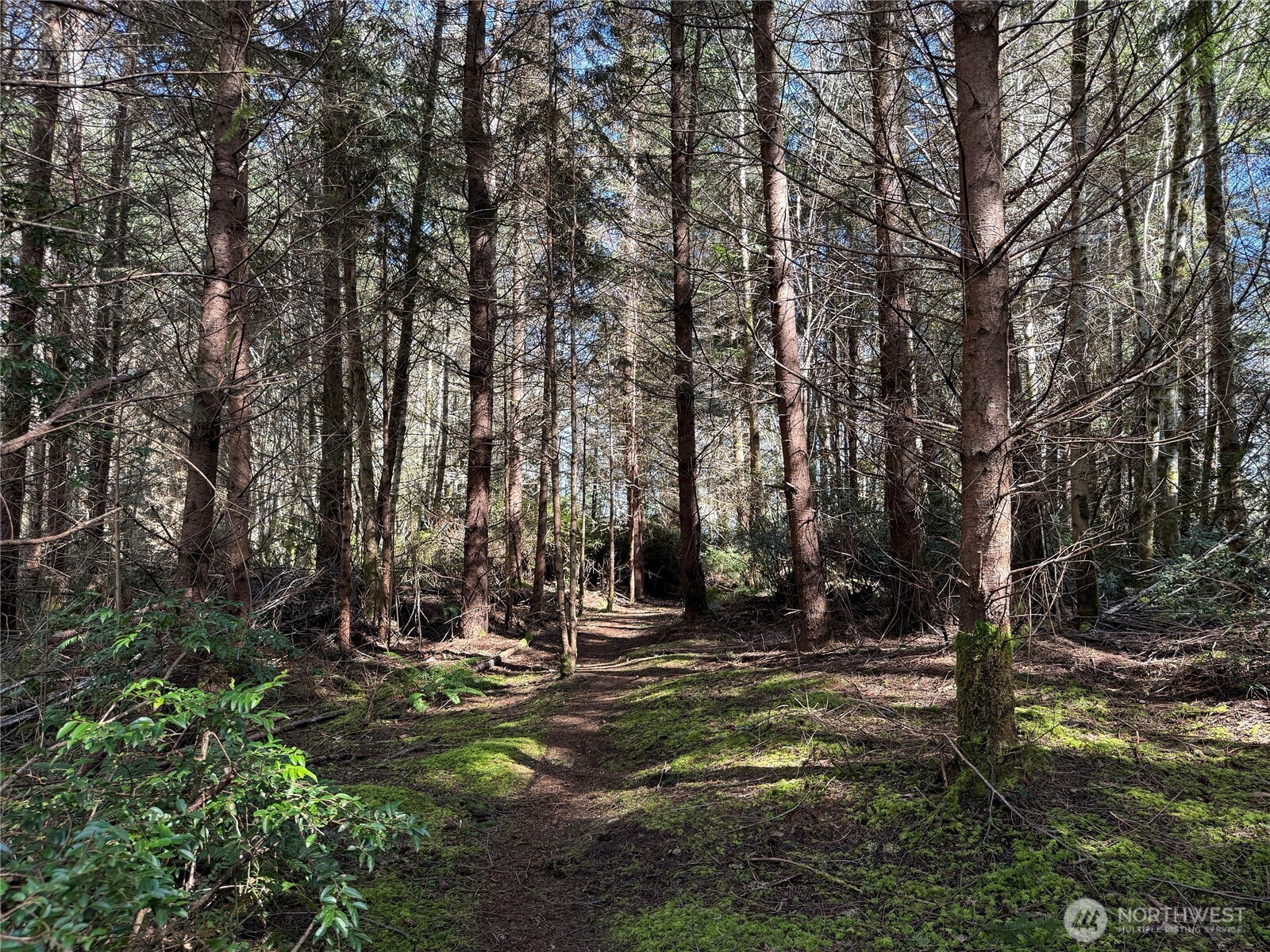 1 XX E Case View Place , Shelton, WA 98584