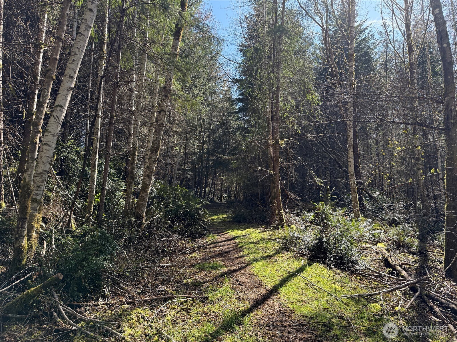 1 XX E Case View Place , Shelton, WA 98584