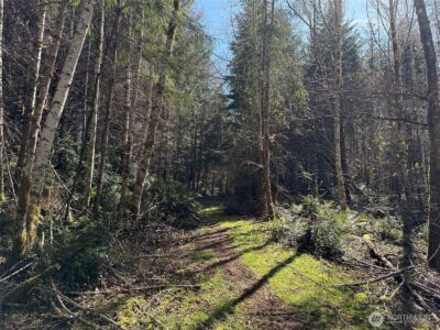 1 XX E Case View Place , Shelton, WA 98584 - Photo 4