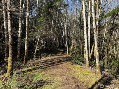 1 XX E Case View Place , Shelton, WA 98584 - Photo 5