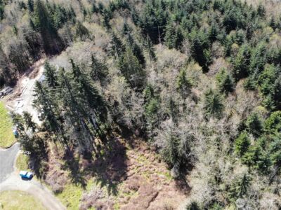 1 XX E Case View Place , Shelton, WA 98584 - Photo 7