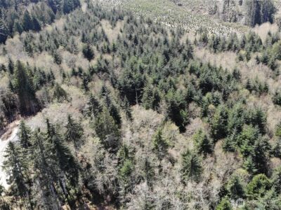 1 XX E Case View Place , Shelton, WA 98584 - Photo 9