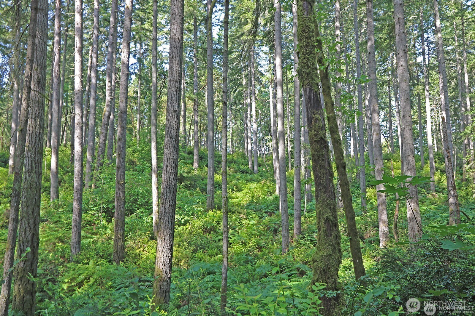 20825 Old Mill Road SW, Vashon, WA 98070