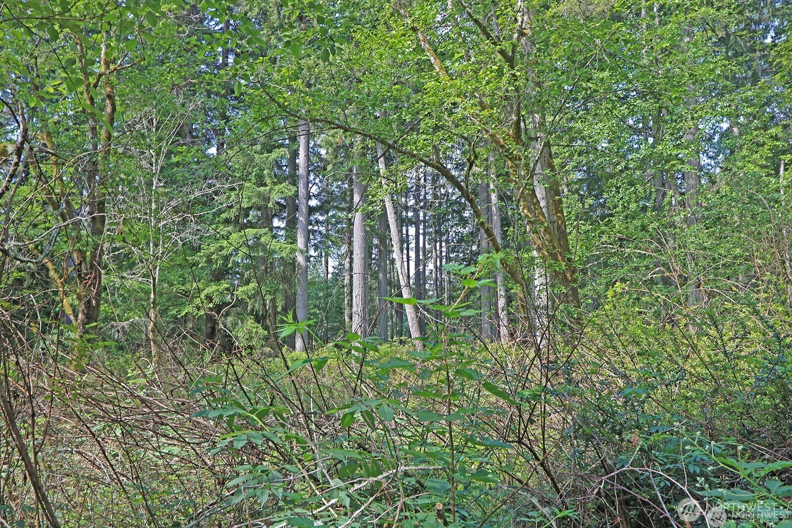 20825 Old Mill Road SW, Vashon, WA 98070