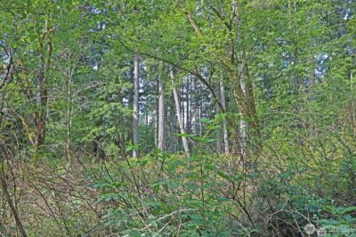 20825 Old Mill Road SW, Vashon, WA 98070 - Photo 11