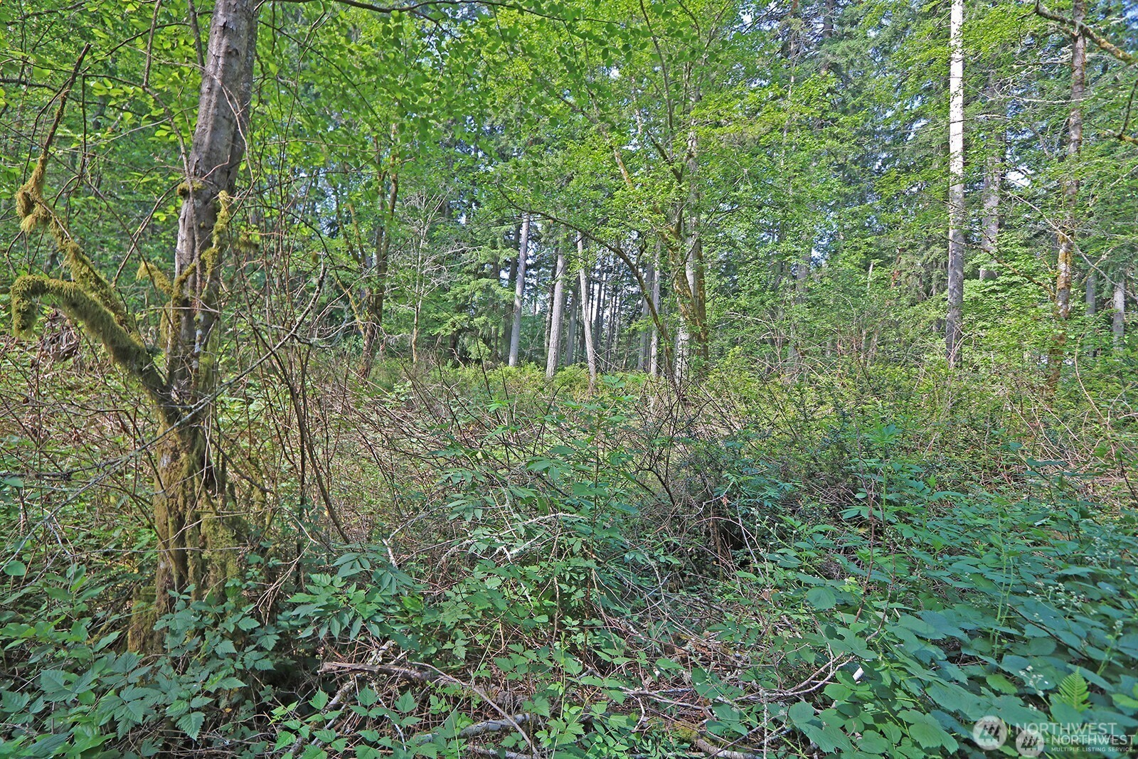 20825 Old Mill Road SW, Vashon, WA 98070