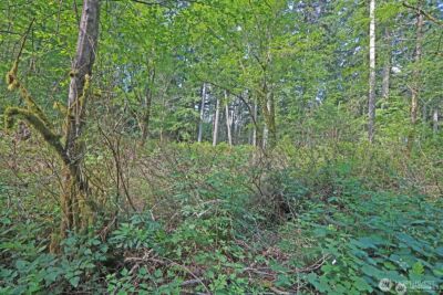 20825 Old Mill Road SW, Vashon, WA 98070 - Photo 12