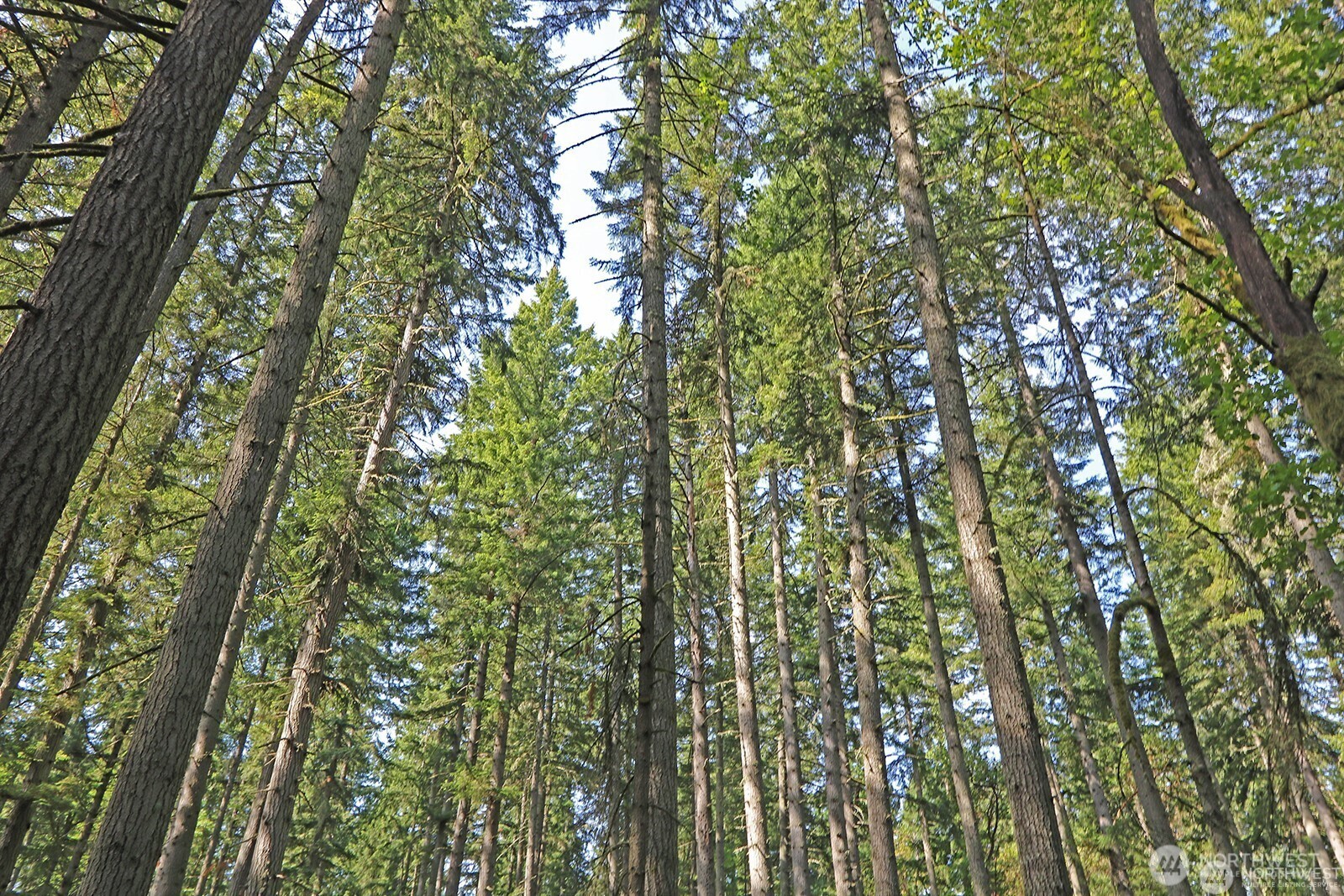 20825 Old Mill Road SW, Vashon, WA 98070