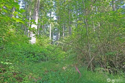 20825 Old Mill Road SW, Vashon, WA 98070 - Photo 7